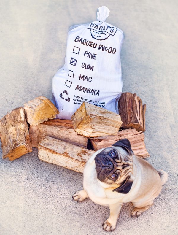 Firewood gum pug